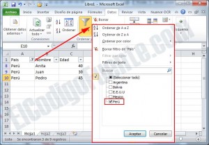 filtro_excel_paso2